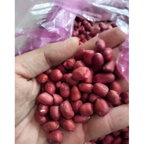 Lạc đỏ Hải Hậu Nam Định