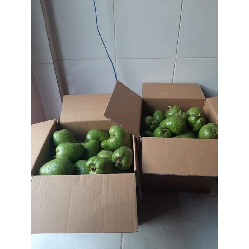 Trái bình bát tươi  1kg