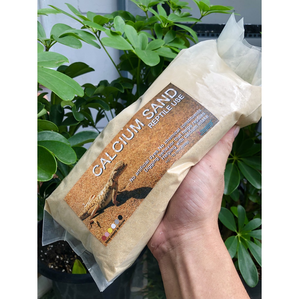 Cát sa mạc dành cho bò sát túi 2kg
