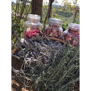 Túi Lavender (THÊU TÊN theo yêu cầu)