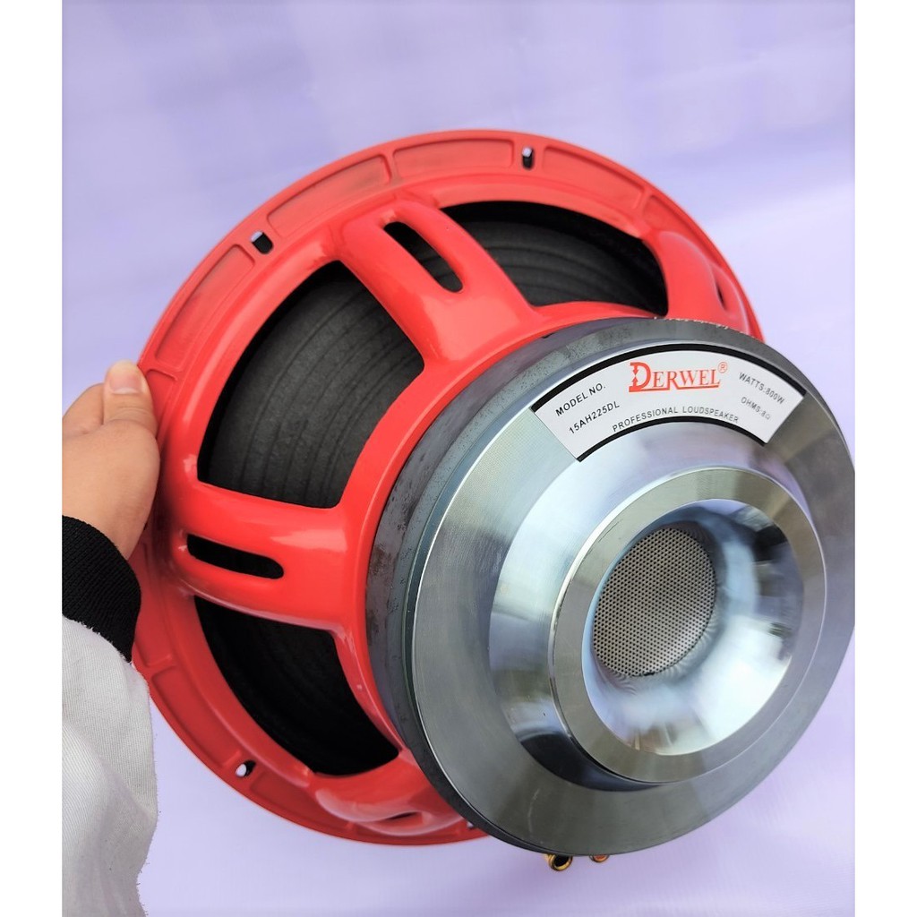 LOA NHẬP KHẨU BASS 40 DERWEL CHÍNH HÃNG TỪ 220 COIL 100 - GIÁ 1 CHIẾC