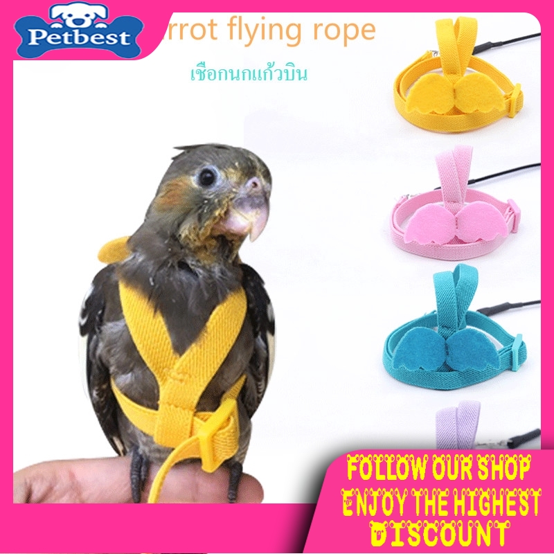 Dây Dắt Vẹt Cưng Đi Dạo Siêu Nhẹ