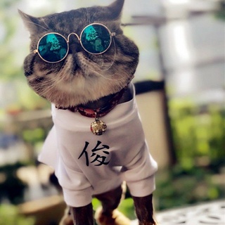 KÍNH MẮT CHO MÈO CƯNG