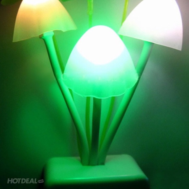 Đèn ngủ nấm rẻ[Free ship 99k giao tại HN + HCM]