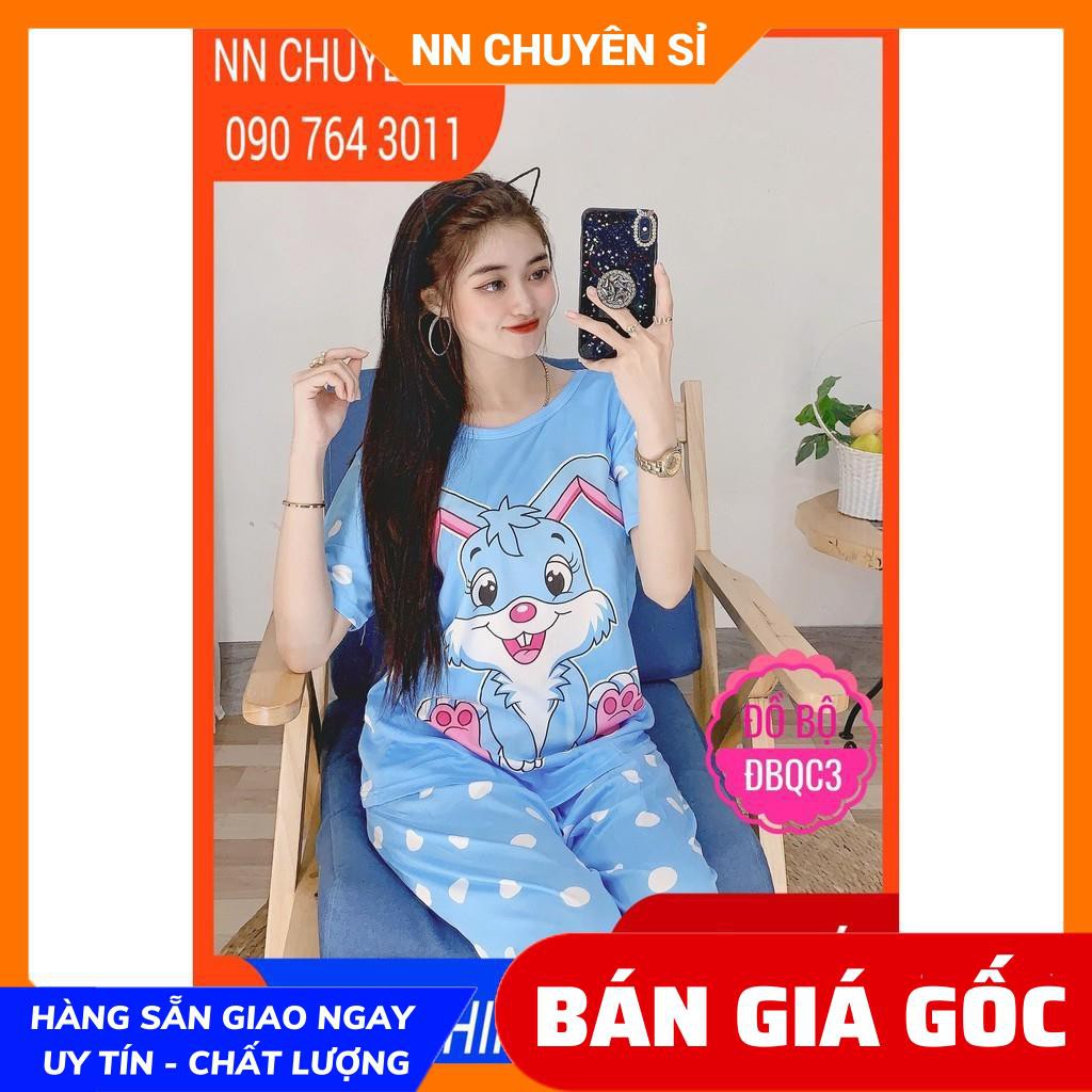 ĐỒ BỘ THUN HOẠT HÌNH XINH XẮN ⚡100% ẢNH THẬT⚡ ĐỒ BỘ THUN LỬNG - ĐBQC DBRBL