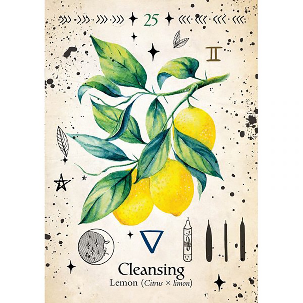 Bộ Bài Green Witch Oracle - Thông Điệp Từ Khu Vườn Thảo Mộc 44 Lá Bài SB88