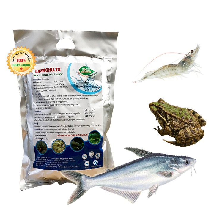 Vi sinh xử lý ao nuôi Tôm, Cá - LASACHU