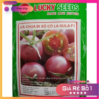 HẠT GIỐNG CÀ CHUA BI SOCOLA CHÙM SIÊU QUẢ LUCKY.VN