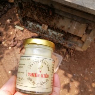 Sữa ong chúa tươi 100ml