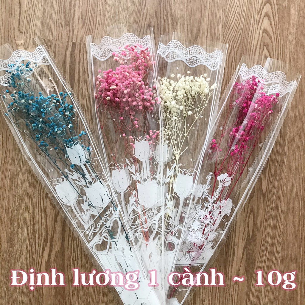 Hoa Baby Khô, Hoa Khô Trang Trí Phòng Khách, Phòng Ngủ, Quán Café, Làm Đồ  Handmade