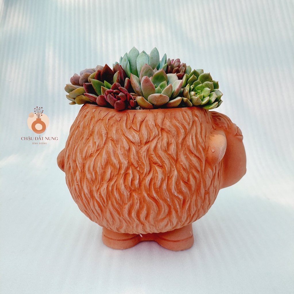 Chậu đất nung, Chậu sen đá - Cừu Mập Heo, miệng chậu 12cm, chiều cao 17cm