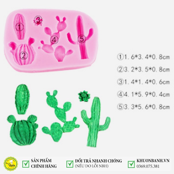 Khuôn silicon vỉ xương rồng và khuôn đá rối ốp viền đá rối khuôn socola khuôn rau câu trang trí bánh ngọt