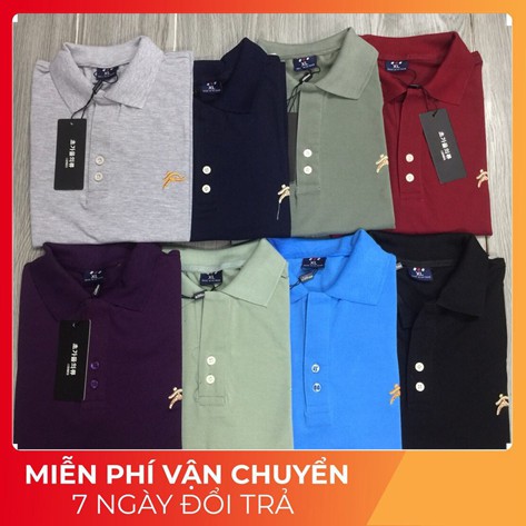 [100% Cotton] Áo Polo Cao Cấp Tone Classic cho Chàng Thanh Lịch Mã 683 (8 màu) | BigBuy360 - bigbuy360.vn