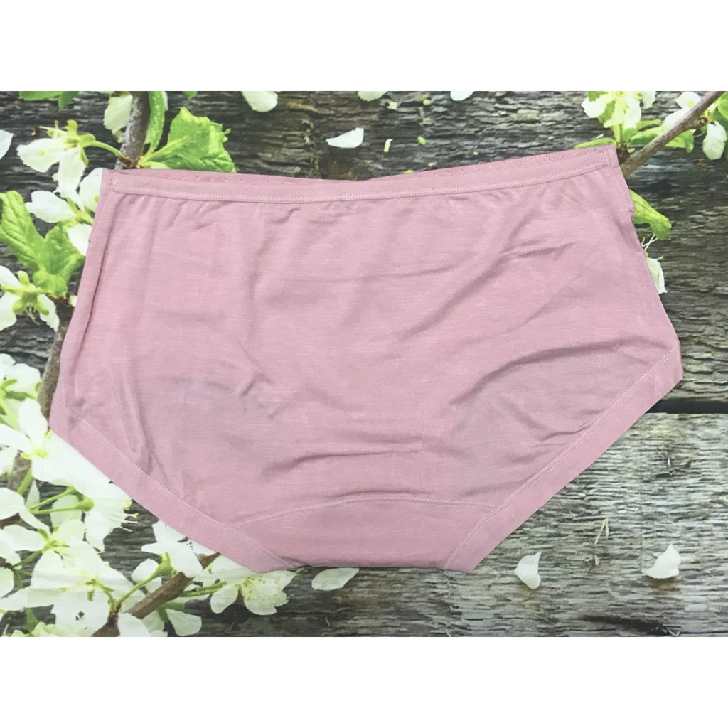 Quần lót nữ chuẩn Thái Lan Sister Hood 3044, quần chip mịn màng êm ái cotton, Leblur
