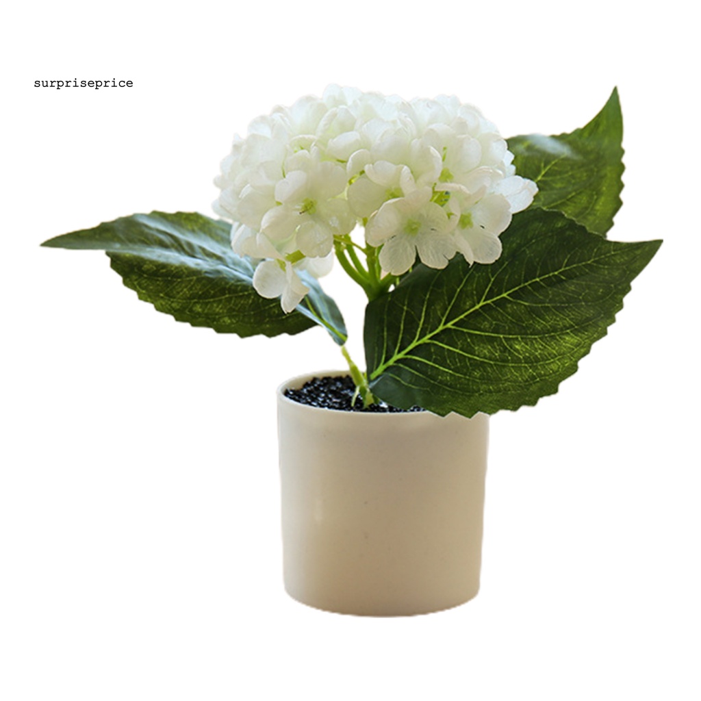 Chậu Cây Bonsai Nhân Tạo Chống Mòn Tiết Kiệm Không Gian Cho Khách Sạn / Bàn Làm Việc