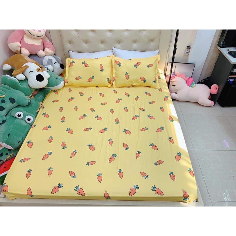 Sale lỗ 3 ngày Bộ ga gối 1m6 cotton poly cà rốt