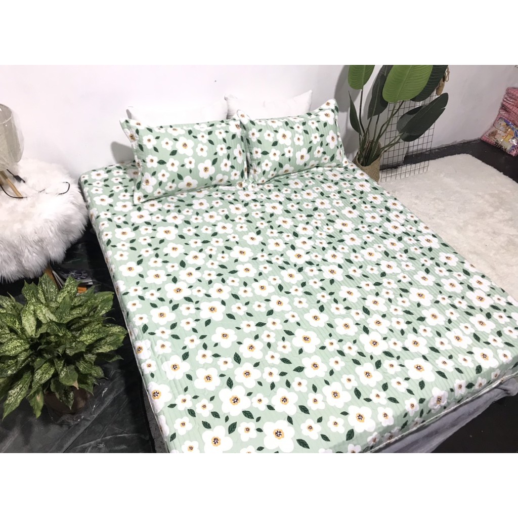 Bộ Ga Cotton Trần Hoa Nhí Nền Xanh GT04