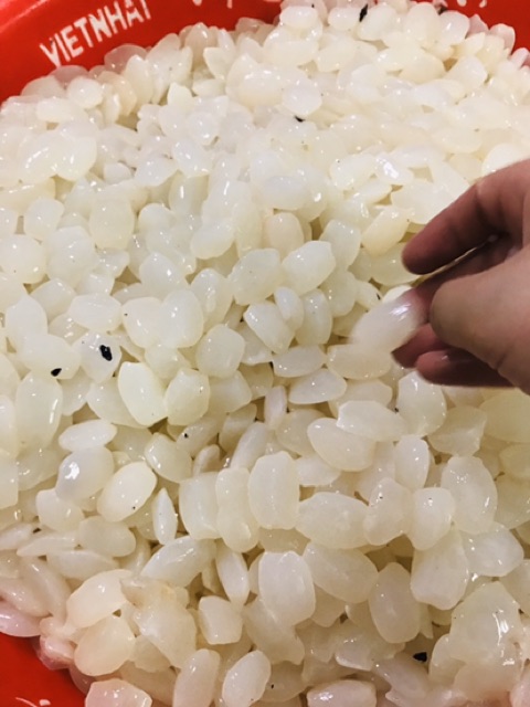 Hạt đác tươi 1kg