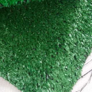 Thảm cỏ  1 phân 85k/ m vuông