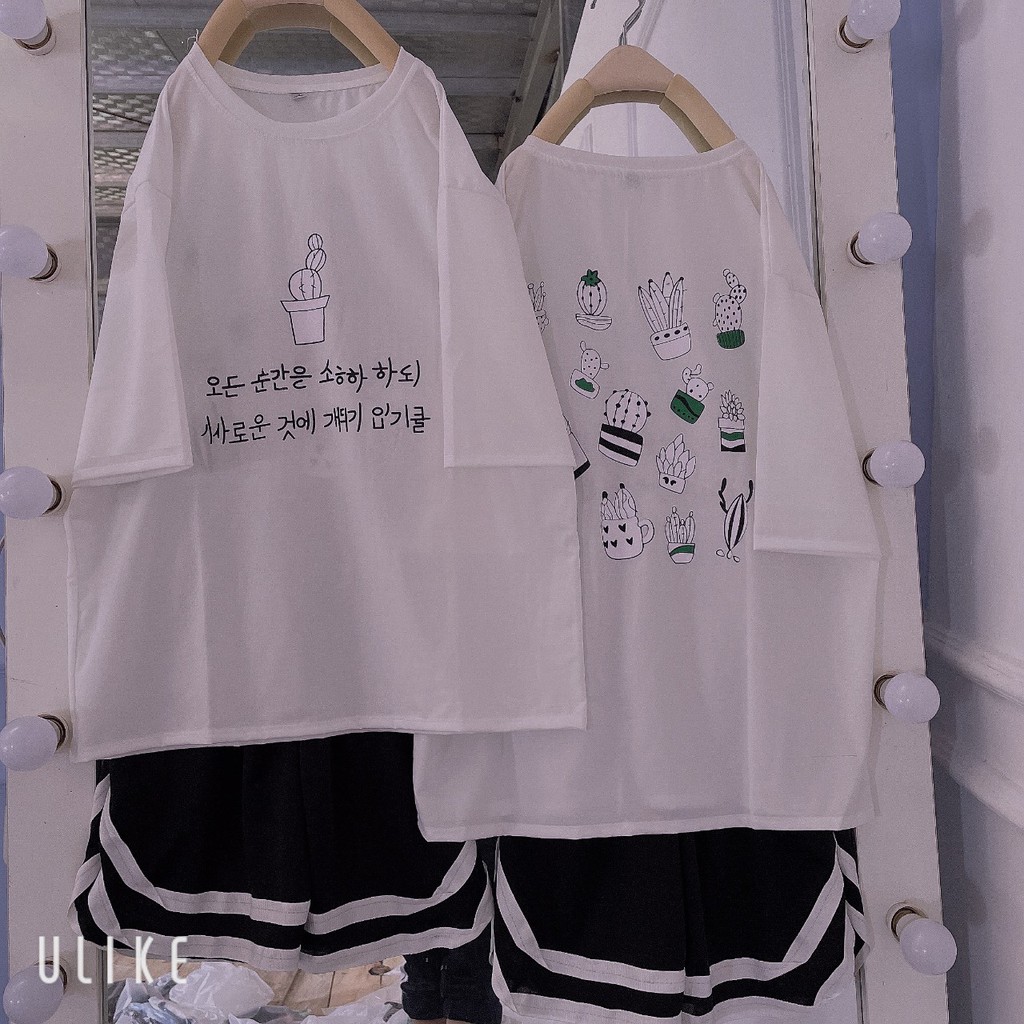 [Rẻ Vô Địch] Áo thun unisex tay lỡ form rộng CaMa Store M58 | BigBuy360 - bigbuy360.vn