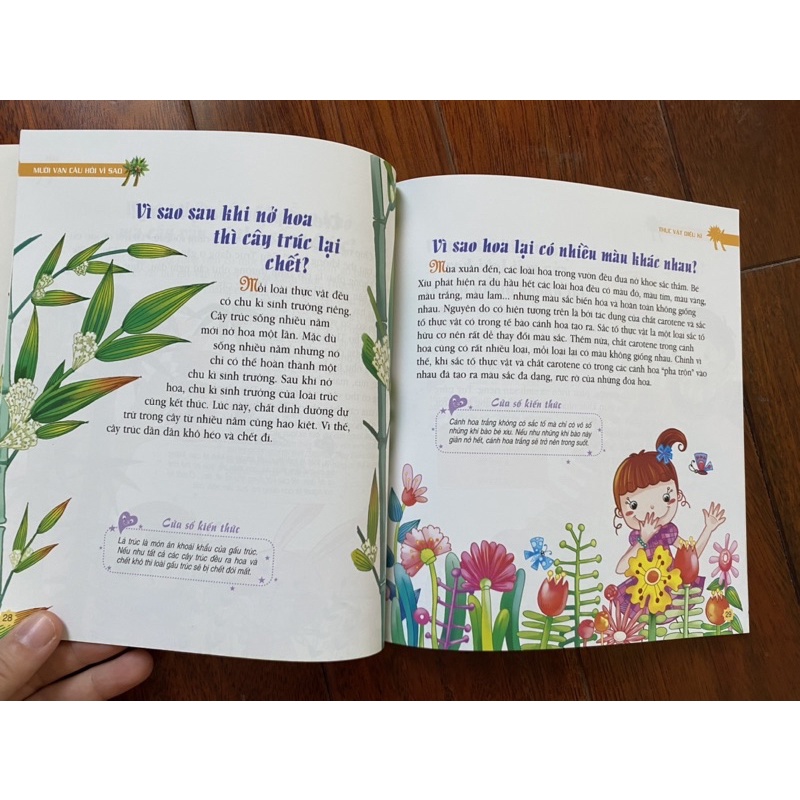 Sách- Mười vạn câu hỏi vì sao (Kim Đồng) mã lẻ