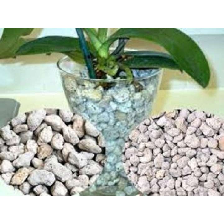 Đá Pumice (đá bọt núi lửa) trồng cây thoát nước, giữ ẩm, nhẹ trồng ban công, tầng thượng 2-3 cm