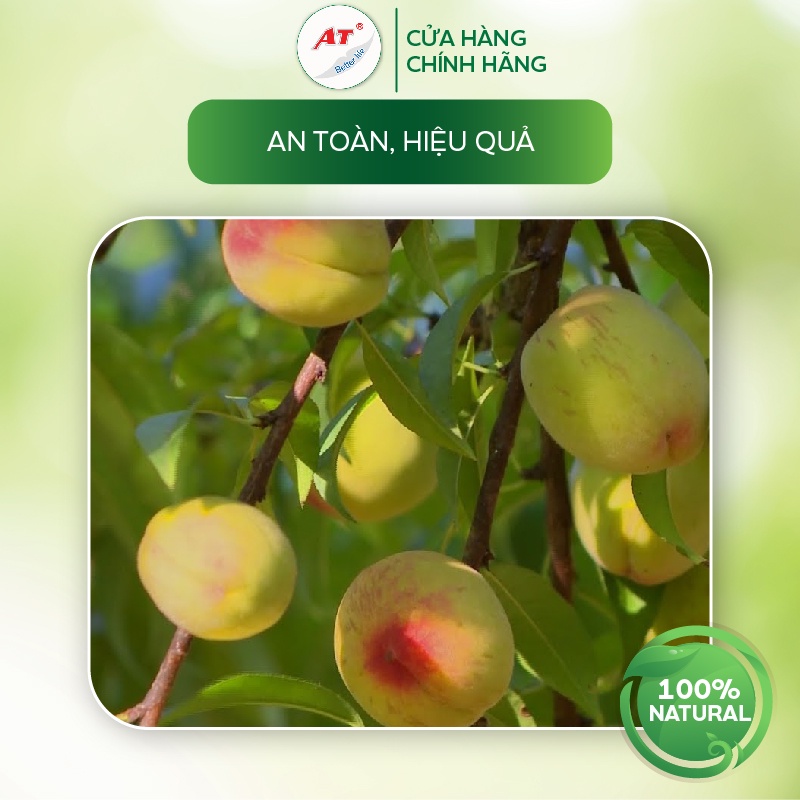 Chế phẩm tiêu diệt sâu sinh học AT diệt trừ sâu hại, rầy sâu rệp –  Chế phẩmsinh học AT Mebe đậm đặc 500g