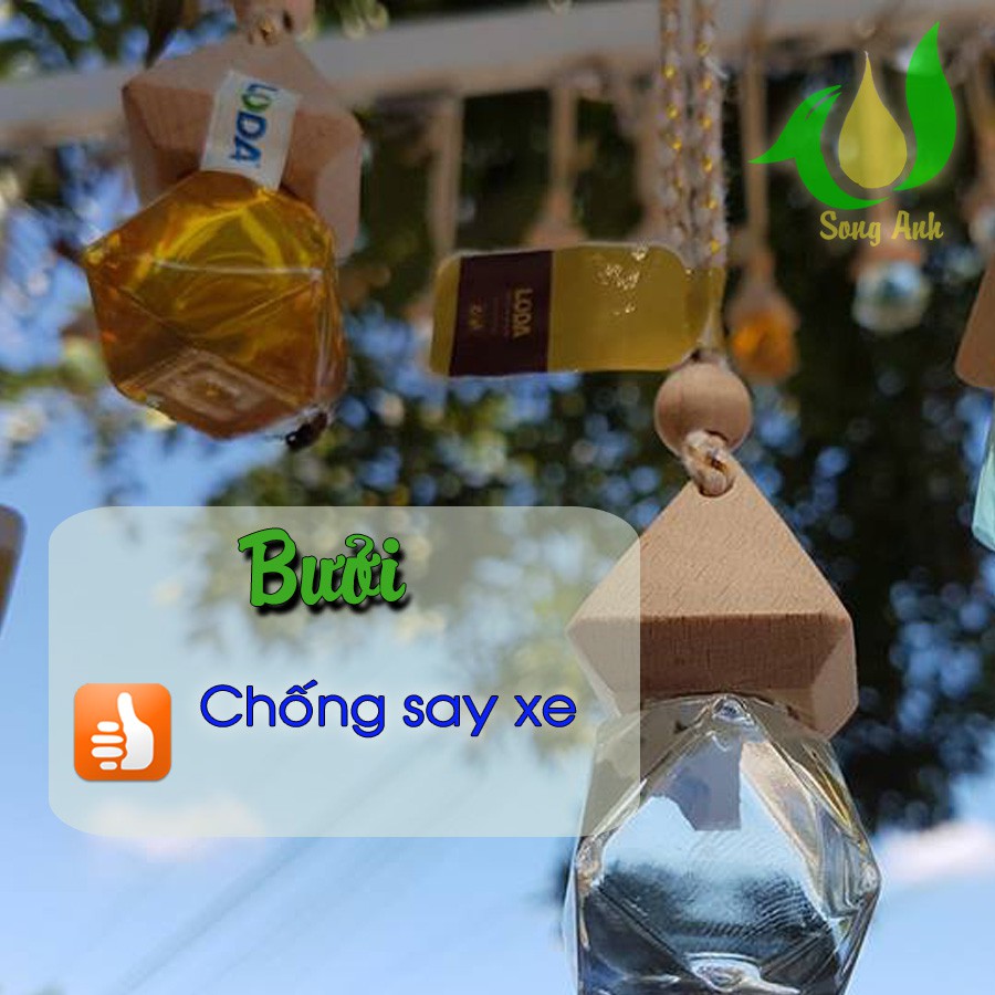Tinh Dầu Treo Xe Vỏ Bưởi
