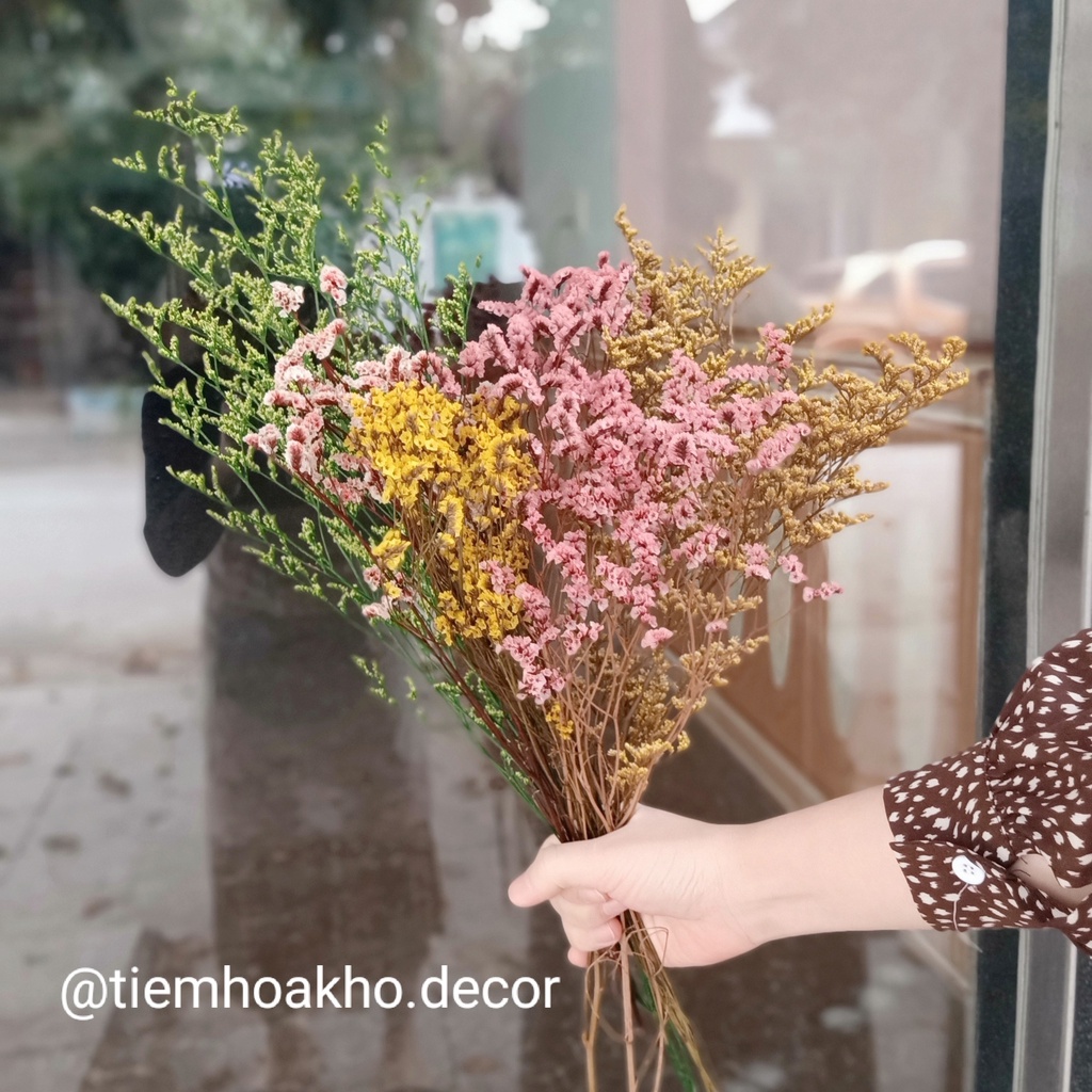 Hoa khô ( sao thủy tinh), trang trí, cắm hoa, decor
