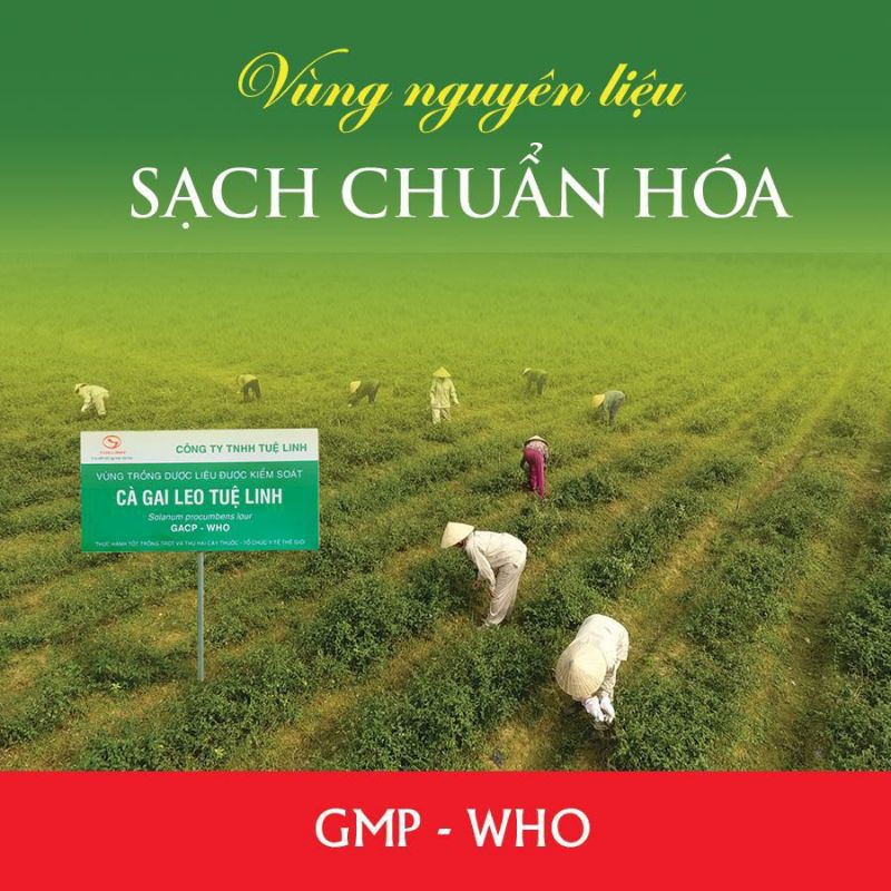 Giải độc gan Tuệ Linh Plus hộp 30 viên