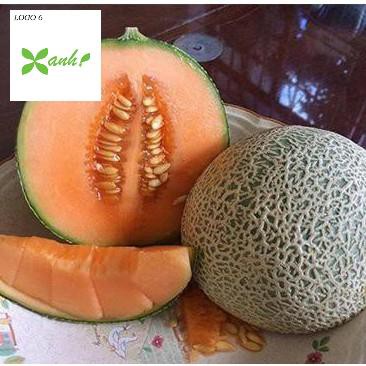 Hạt giống Dưa lưới F1 (Ruột cam, Siêu ngọt)