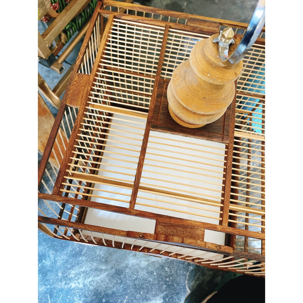 LỒNG CHIM CHÀO MÀO - THÁI ĐẤU 2