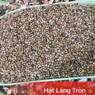 Hạt láng tròn size TO 1kg - thức ăn cho Hamster