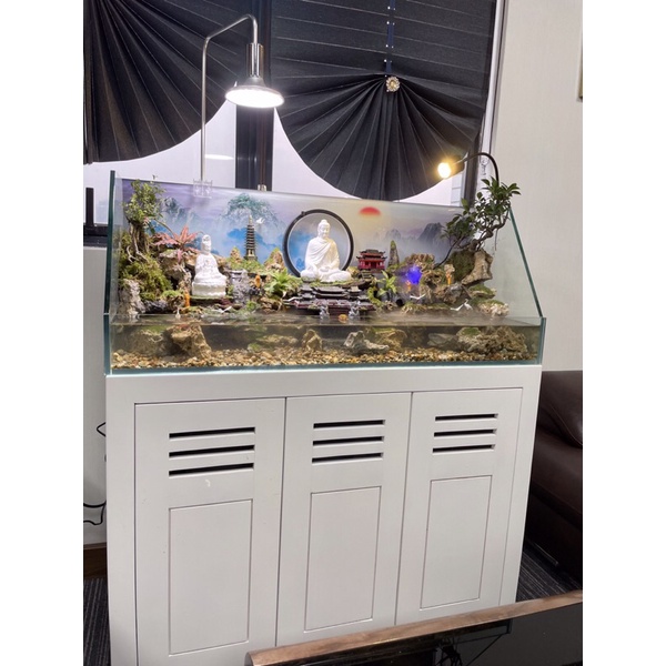 Hồ bán cạn tiểu cảnh CEO phong cách Kelsey Mặt Trời Vàng siêu độc đáo