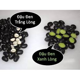 ( TẶNG 2 ỐNG VANI )---ĐẬU ĐỎ / đậu xanh / đậu đen xanh lòng ---TÂY NGUYÊN