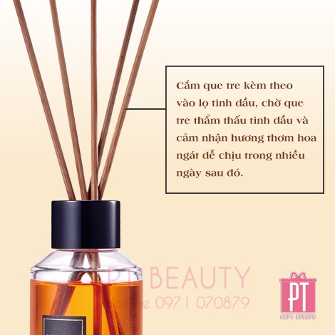 Chai Xông Tinh Dầu Cao Cấp Có Kèm Cây 50ml