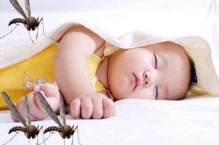 XỊT MUỖI PEDIAKID