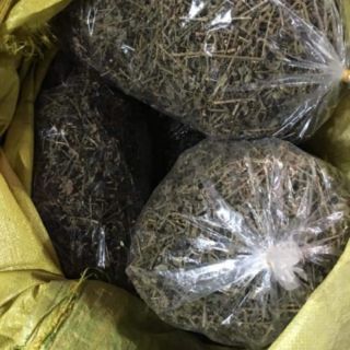 Cà gai leo khô 100g (hoa trắng)