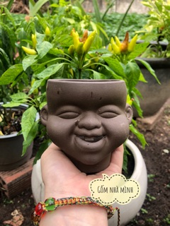 Chậu Tí sún đất nung nhí