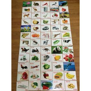 Bộ 60 thẻ học bài cho bé iu