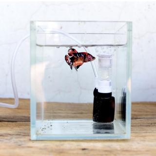 Máy Lọc Nước Mini Cho Bể Cá