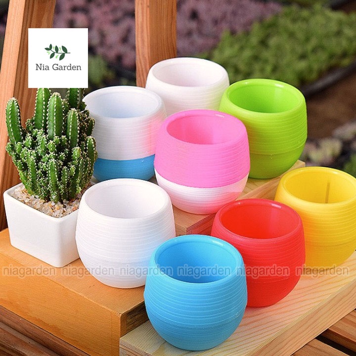 Chậu nhựa trồng sen đá xương rồng cây để bàn mini tròn 2 màu Nia Garden N8