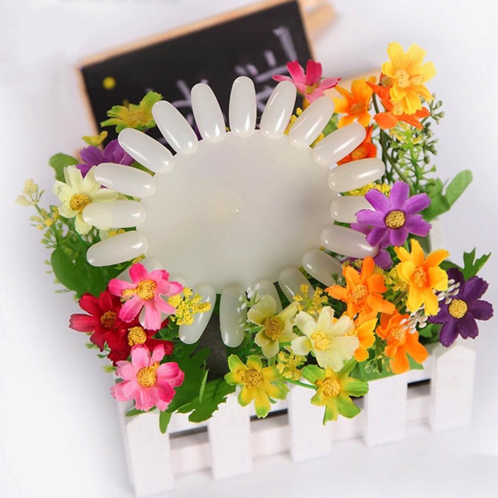 Khay Trưng Bày Móng Tay Giả