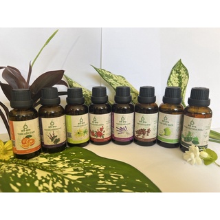 Tinh dầu xông phòng, xịt phòng