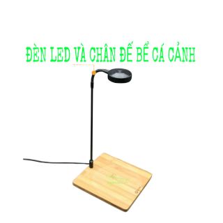 ĐÈN LED ÁNH SÁNG TRẮNG VÀ CHÂN ĐẾ GỖ CHO BỂ CÁ CẢNH VÀ TIỂU CẢNH