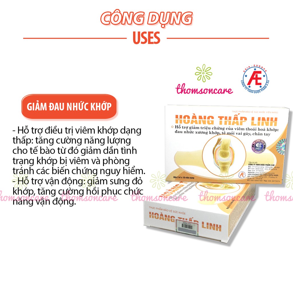 Hoàng thấp linh - hỗ trợ giảm thấp khớp, đau khớp từ thảo dược