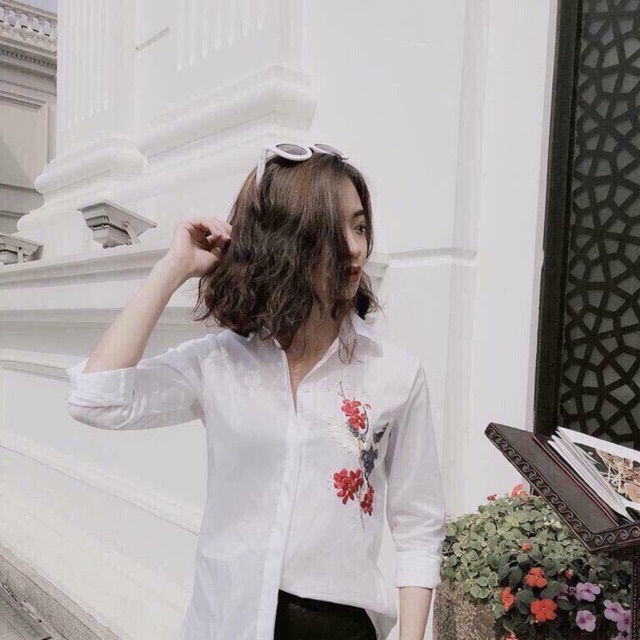 Combo thuỳ linh
