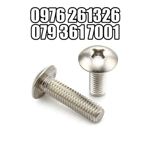 VÍT, ỐC PAKE ĐẦU DÙ INOX 304_M5