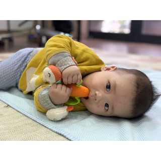 Gặm nướu hình cà rốt mềm Infantino 216216
