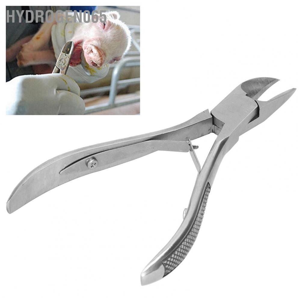 Hydrogen065 Piglet Teeth Cutter Pliers Stainless Steel Elbow Pig Tooth Nipper Livestock Equipment